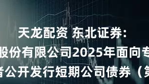 天龙配资 东北证券: 东北证券股份有限公司2025年面向专业投资者公开发行短期公司债券（第六期）信用评级报告