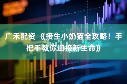 广禾配资 《接生小奶猫全攻略！手把手教你迎接新生命》